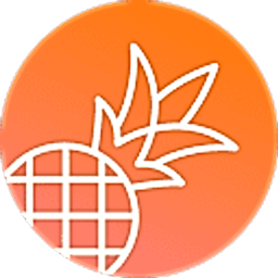 Pineapple Builder logo